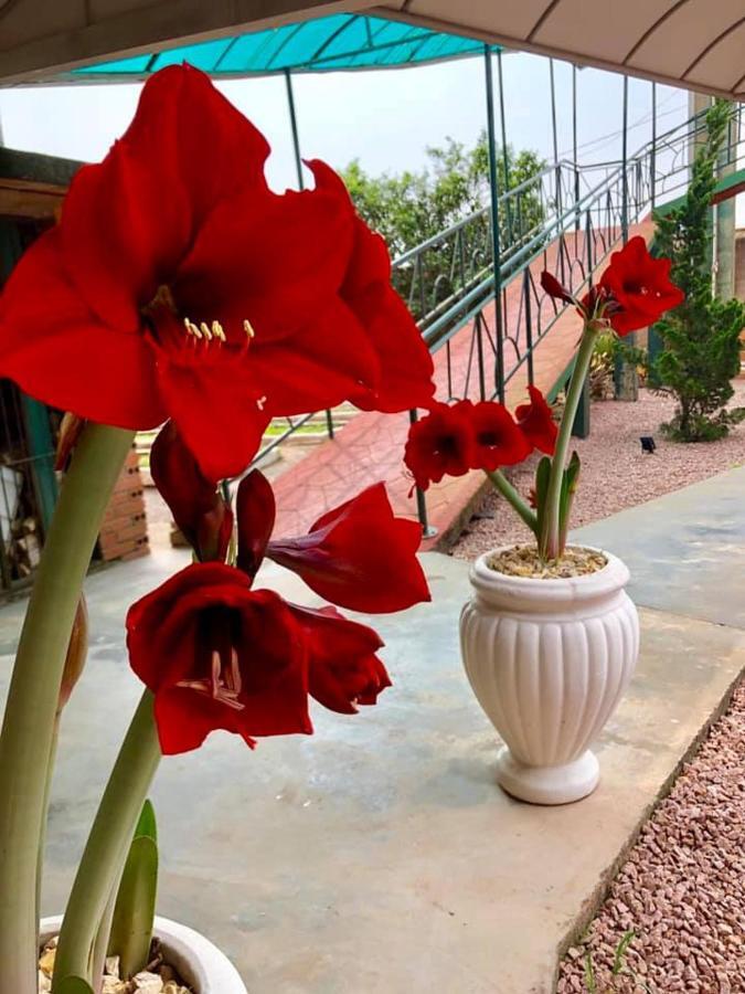Hotel Blumenpark Rio Negro  Bagian luar foto